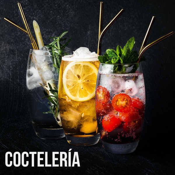 Bebidas » Al Servicio de la Hosteleria